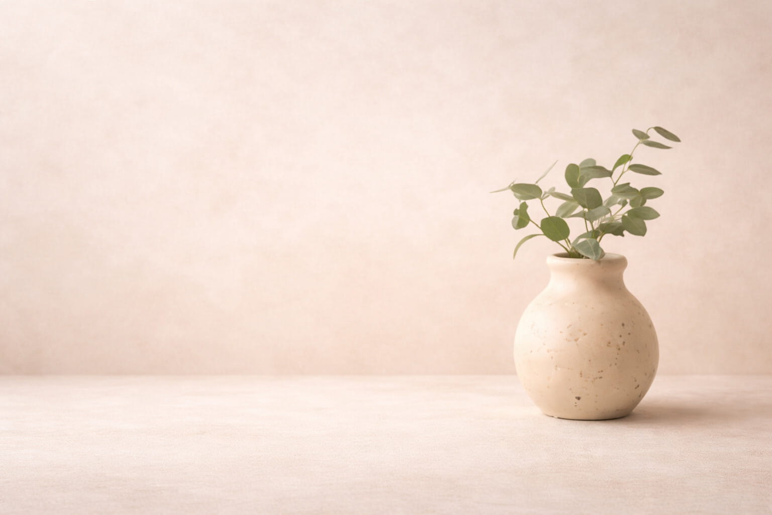 Eucalyptus plant in ceramic vase
